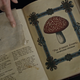 Image for article titled Once Upon a Time Reminds Us to Never Have Any Friends or Family